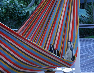 Hammock