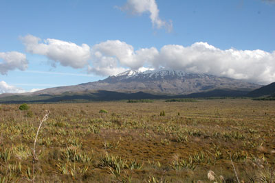 Mt. Ngauruhoe